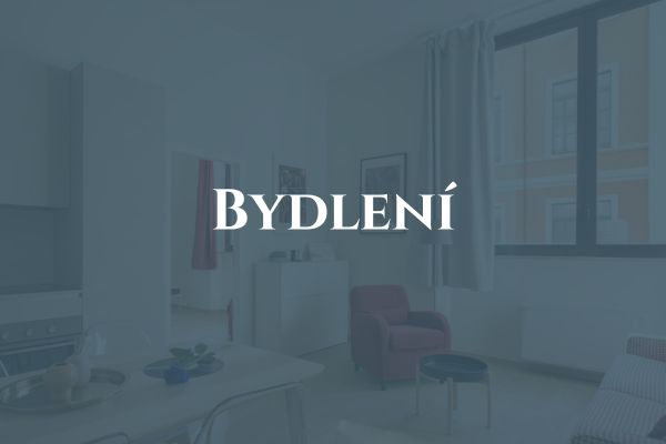 Imigrace a relokace bydlení (1)